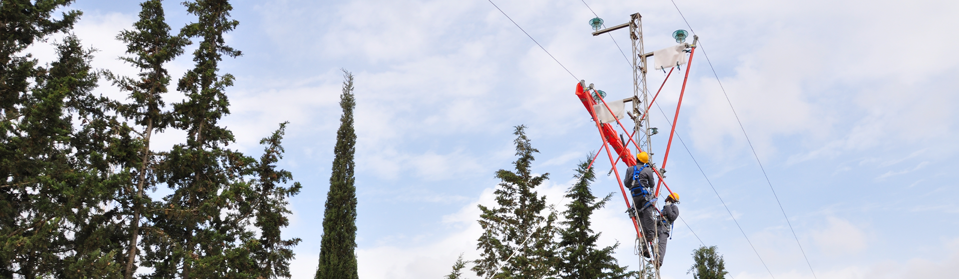 Formation & développement des compétences